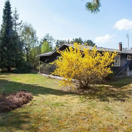Holiday Iii Tatil Evi
